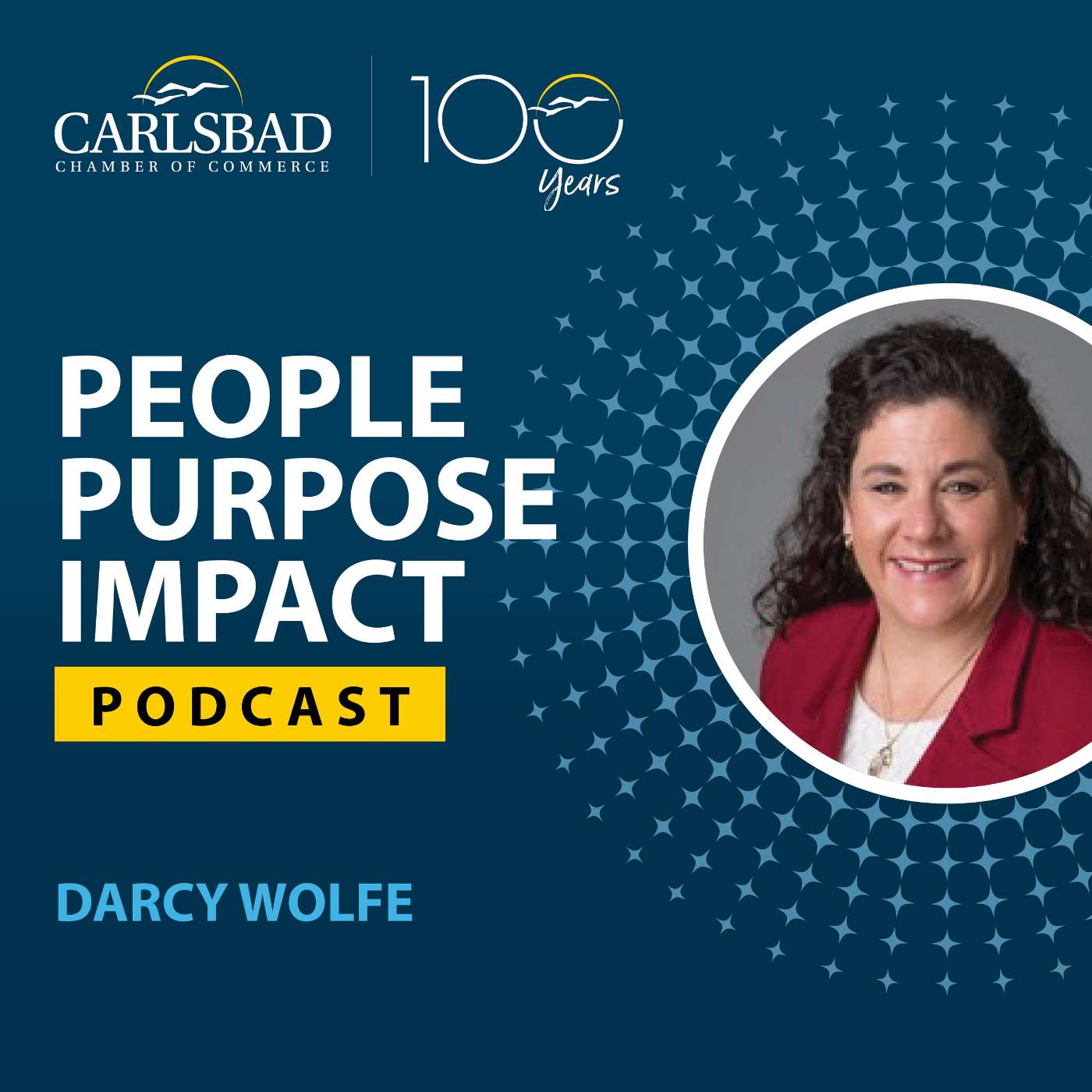 Flight Path to Finance: Darcy's Journey