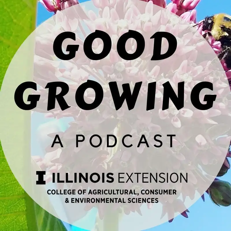 Ep. 31 Sustainable Landscaping with Eliana Brown