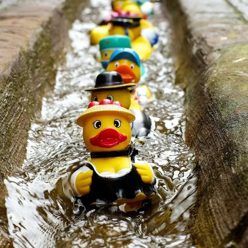 Reddit Slates ClipChamp, DuckDuckGo Annoys Users, Why You Should Use Word Online
