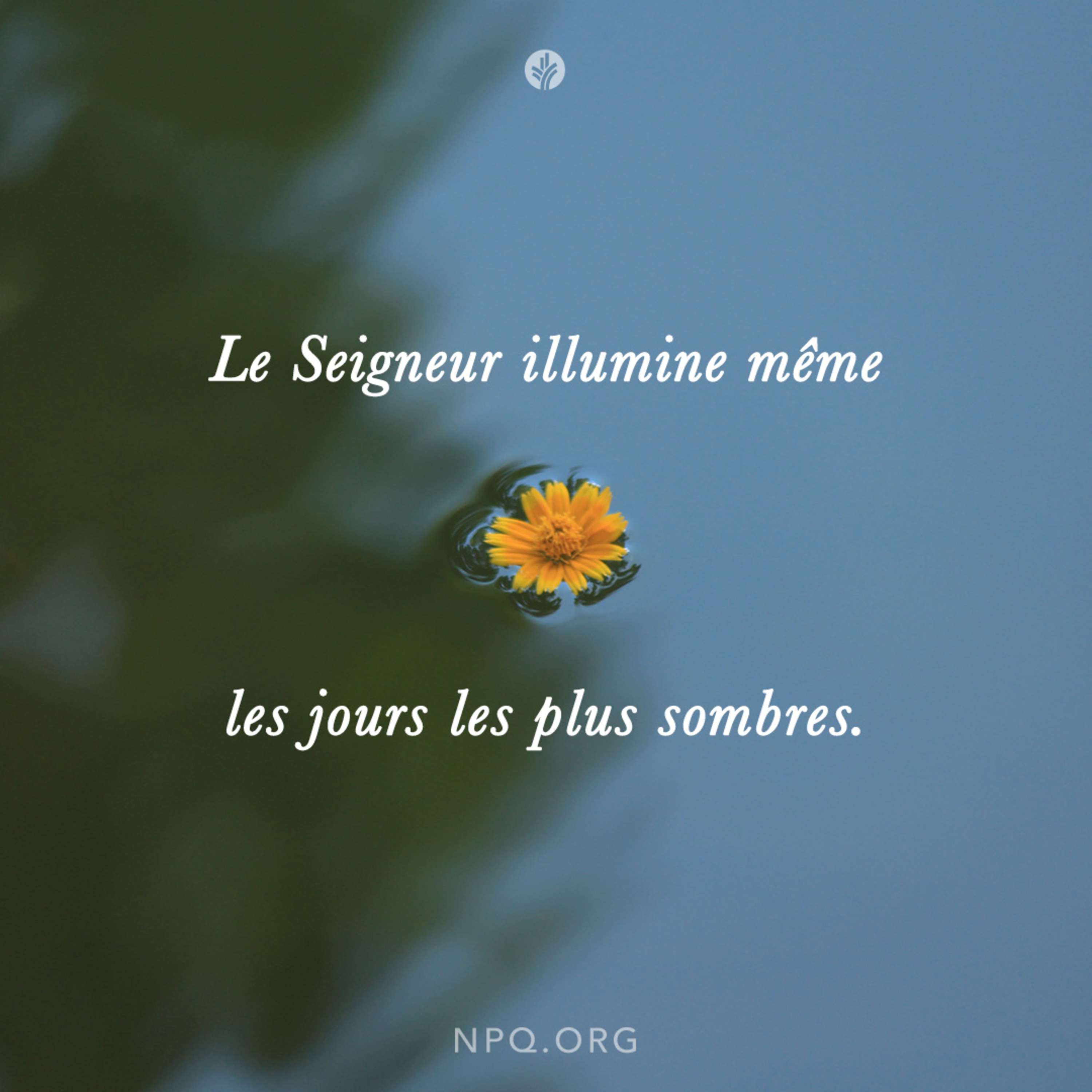 Notre Pain Quotidien podcast