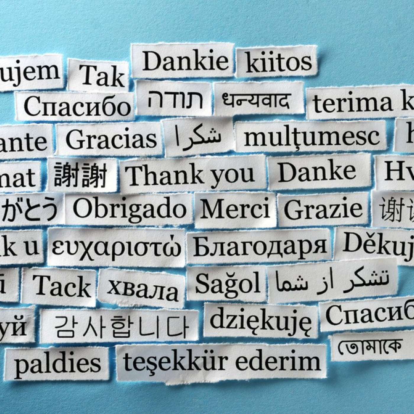 November 26, 2025 Wednesday Hour 1