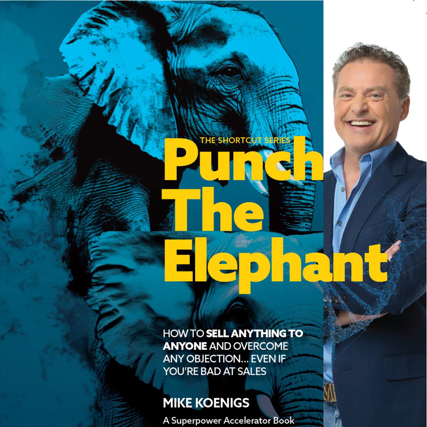 Chapter 1:  Punch the Elephant
