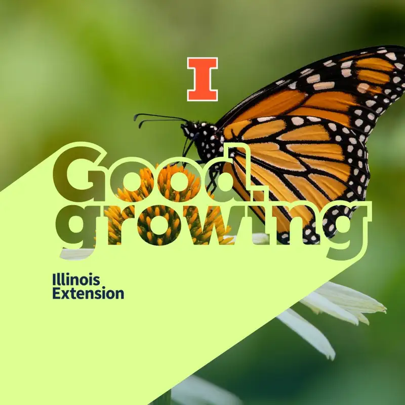 Ep. 115 - Monarch Butterfly Status Update with Brodie Dunn