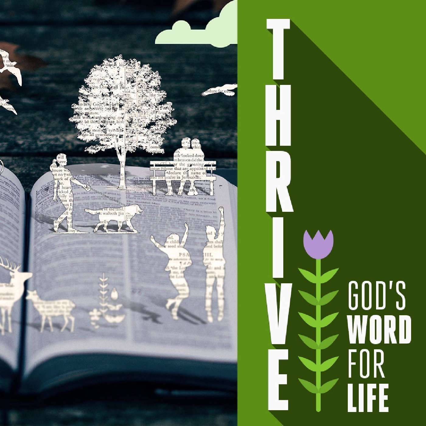 The Reception of the Word