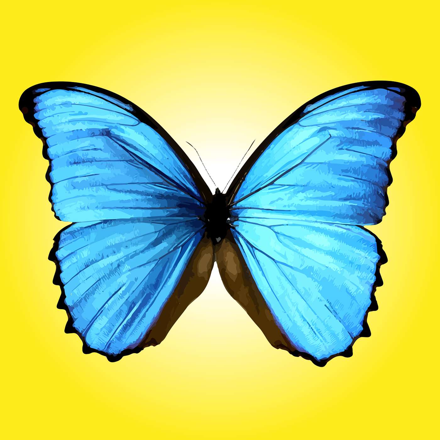 Change Me Book ~ Introduction by Laura Summers Davis