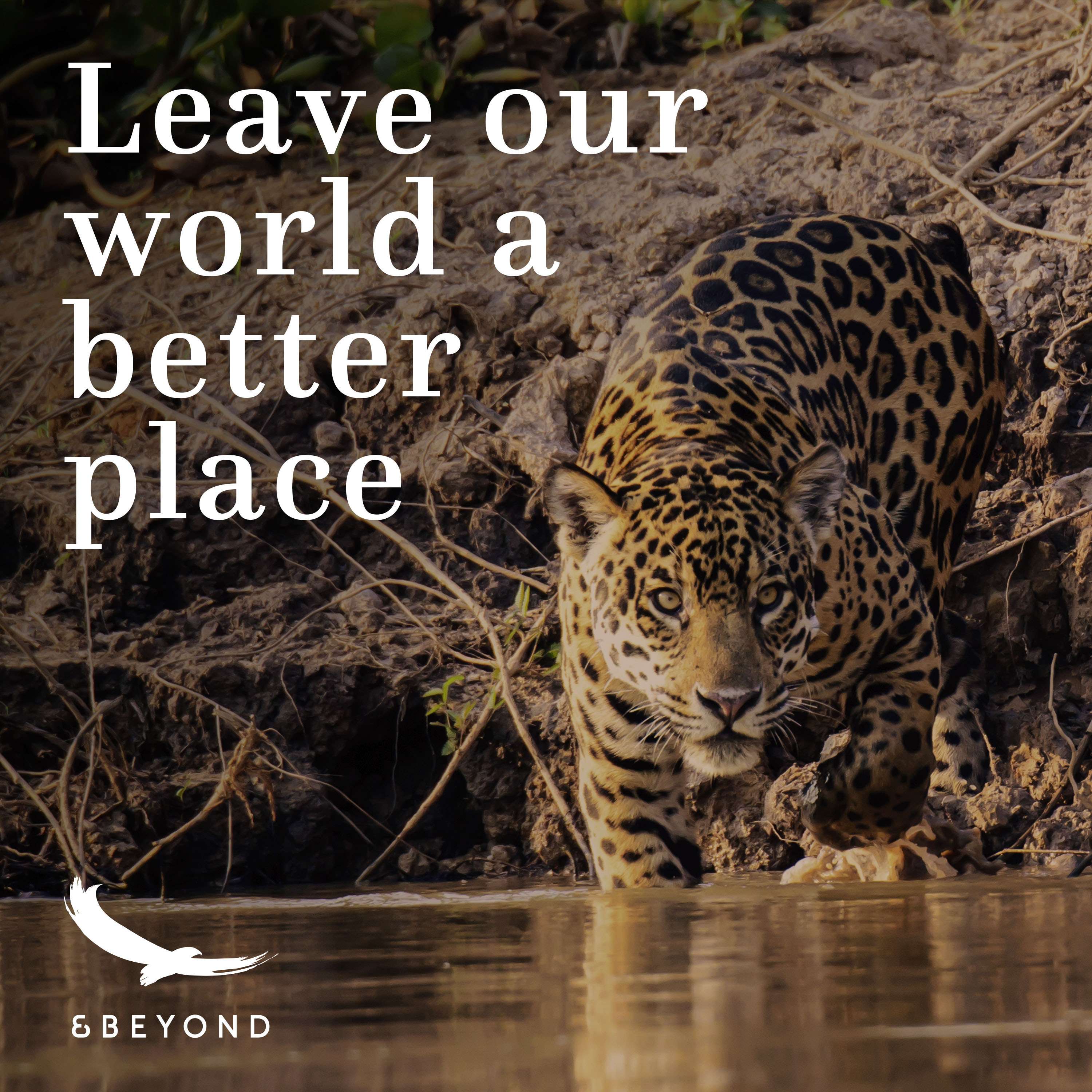 Better World