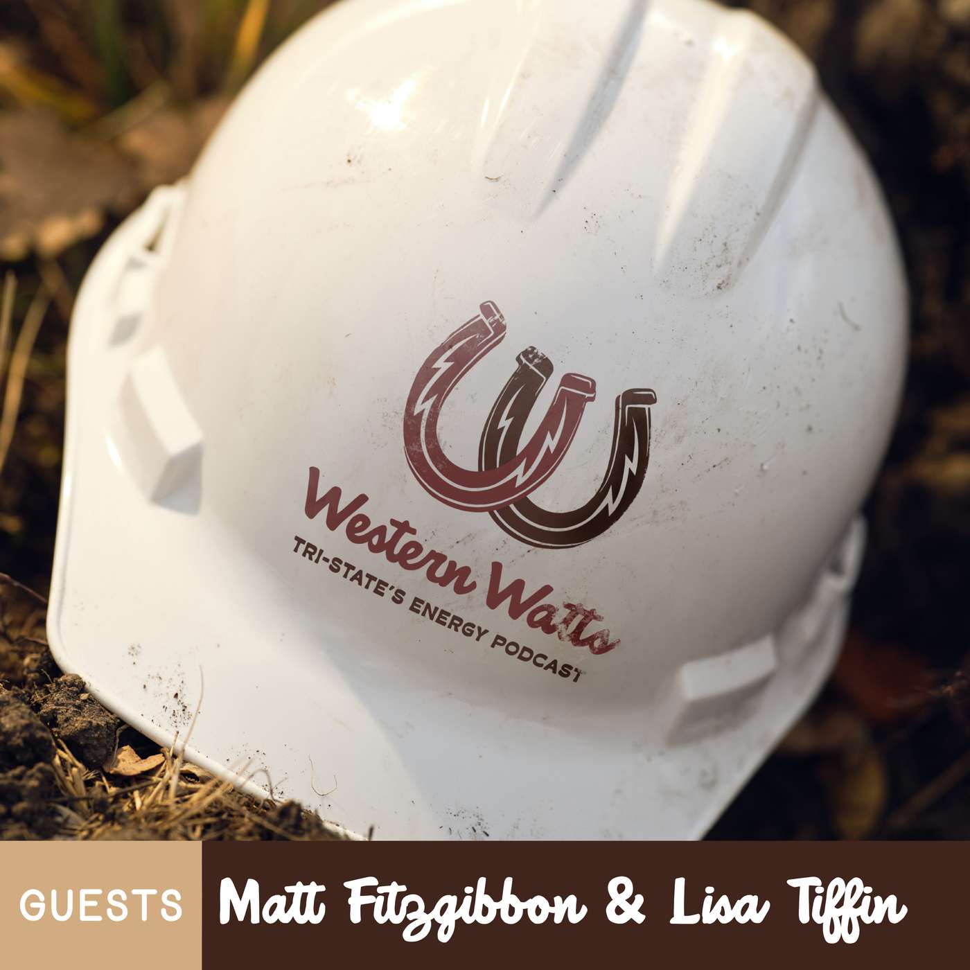 Electric Grid Reliability with Matt Fitzgibbon and Lisa Tiffin