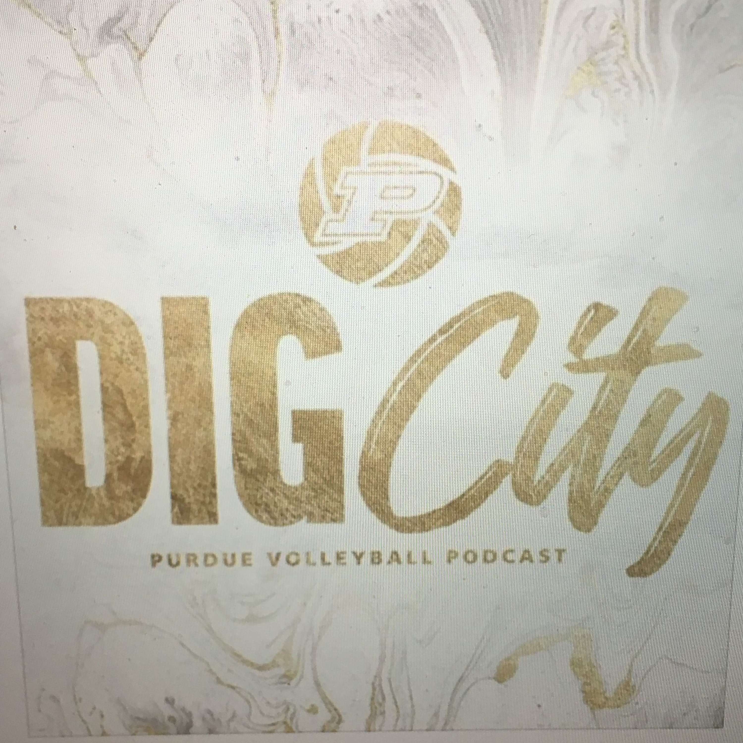 Dig City - Purdue Volleyball Podcast