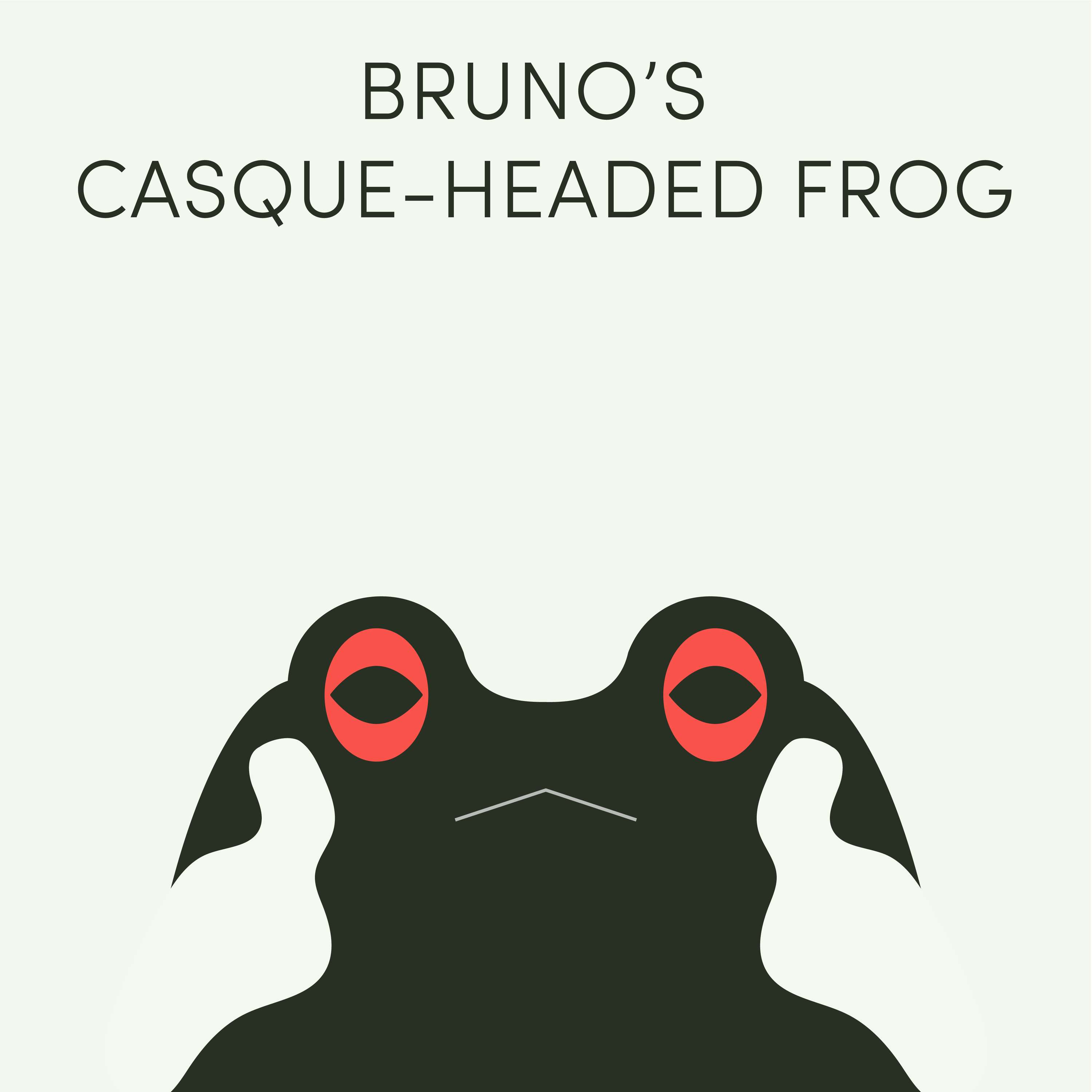 Bruno's Casque-Headed Frog | Week of February 13th