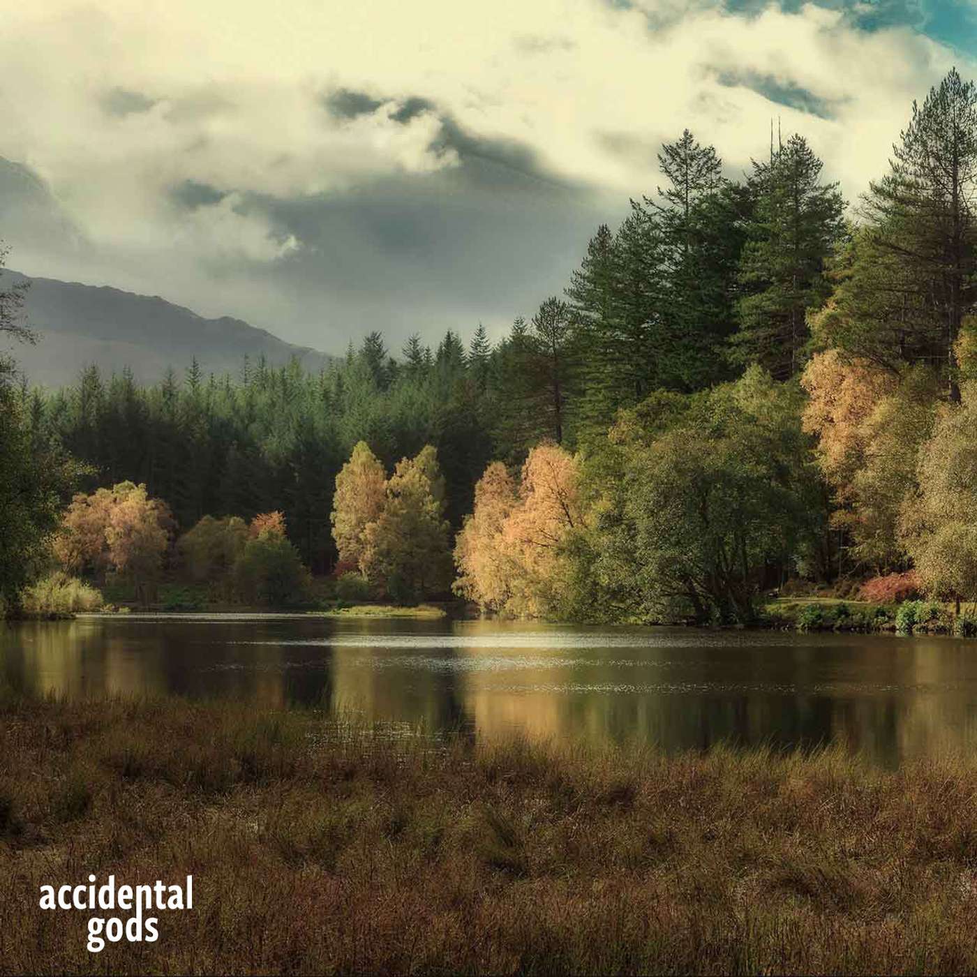 Accidental Gods