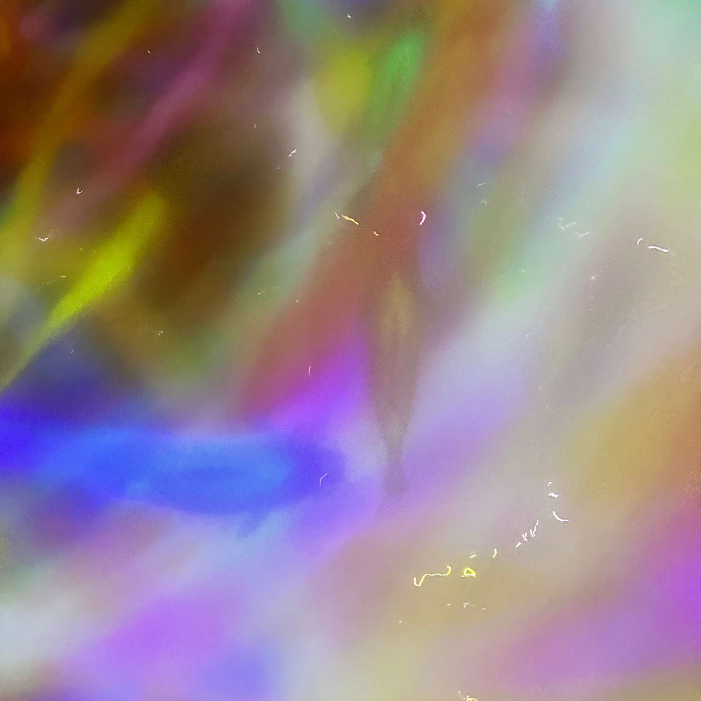 A Dive Into Medicine Lake