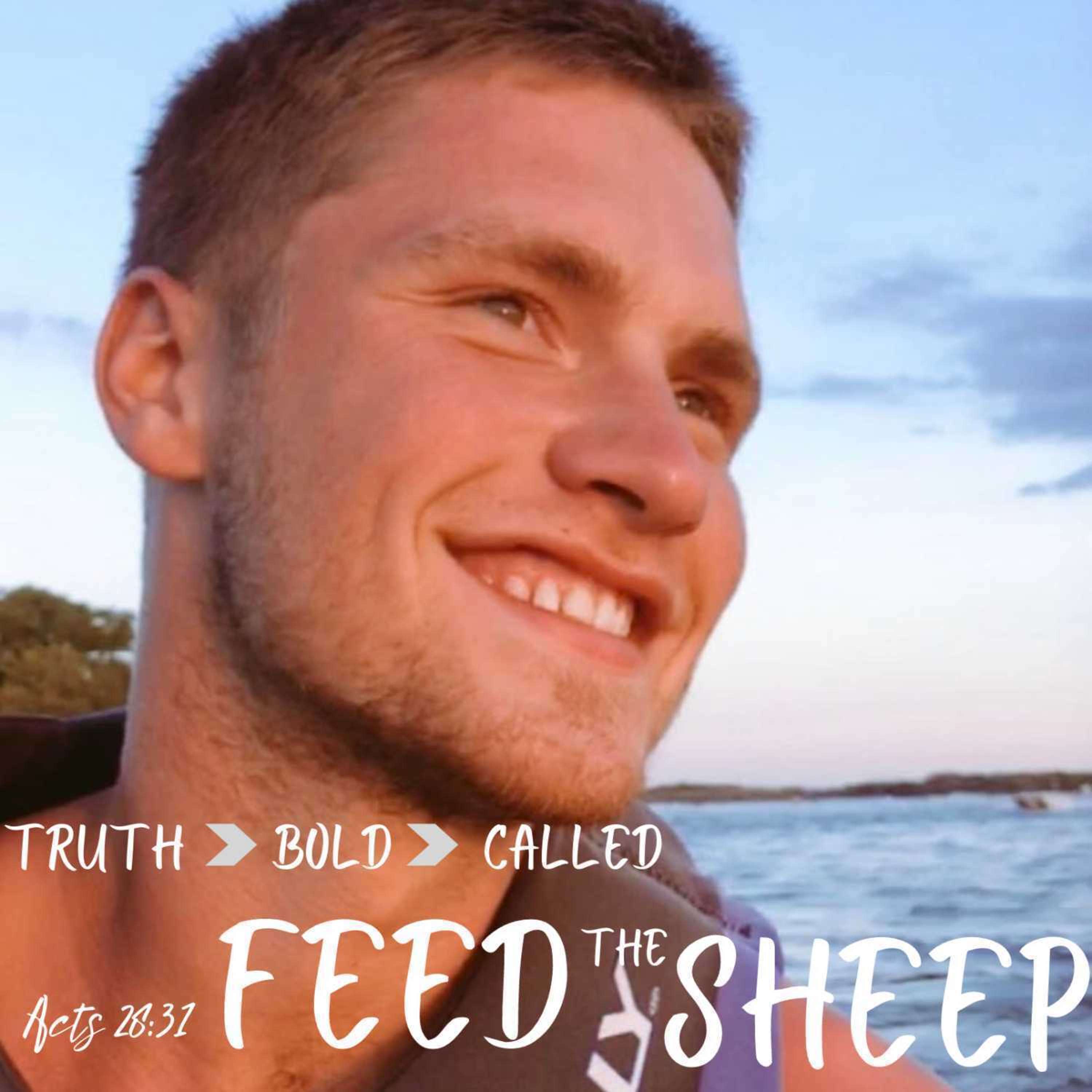 Feed the Sheep