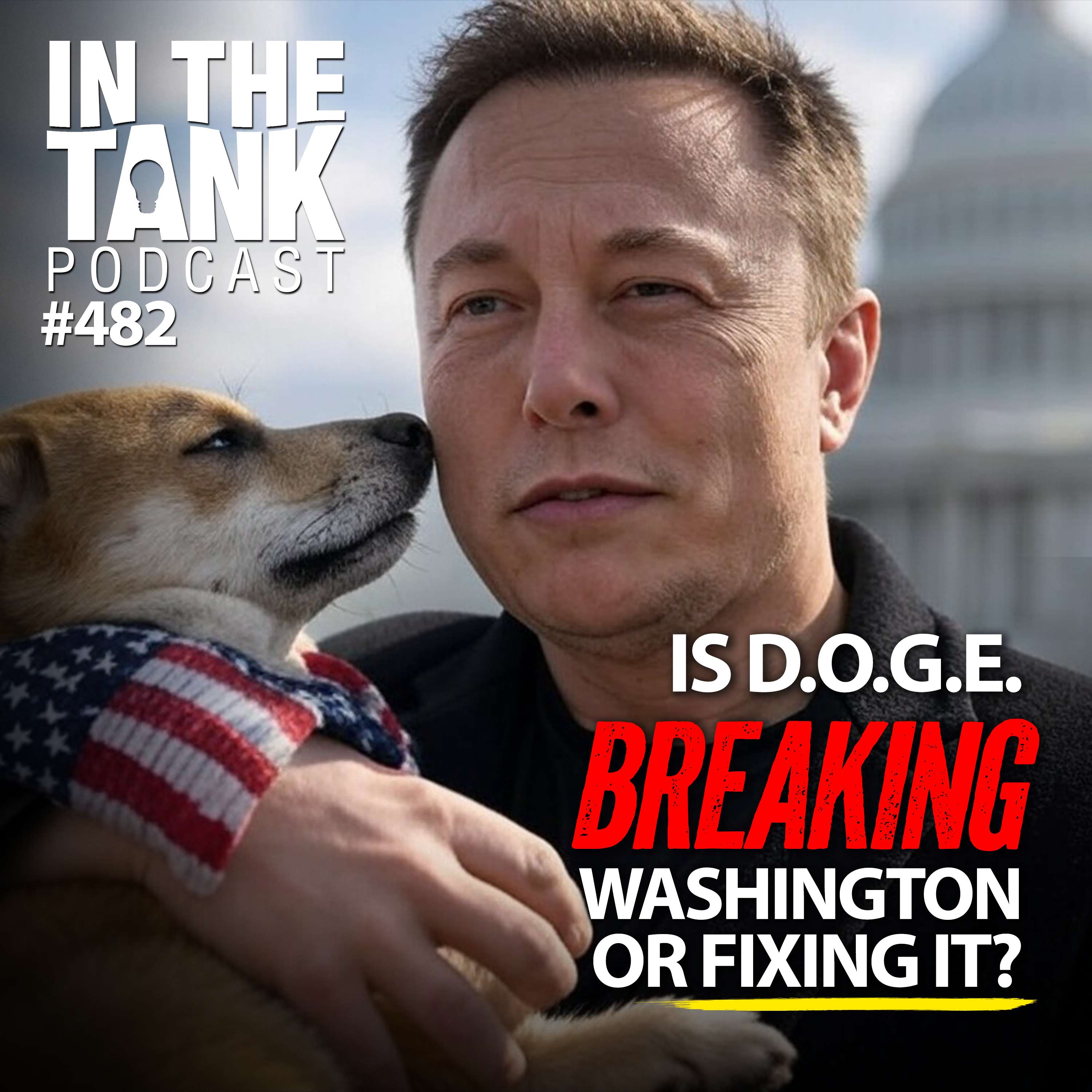 Is DOGE Breaking Washington, or Fixing it? - In The Tank #482