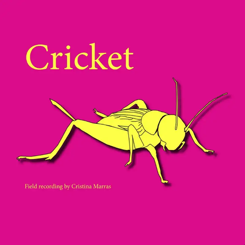 Grillo al supermercato - field recording