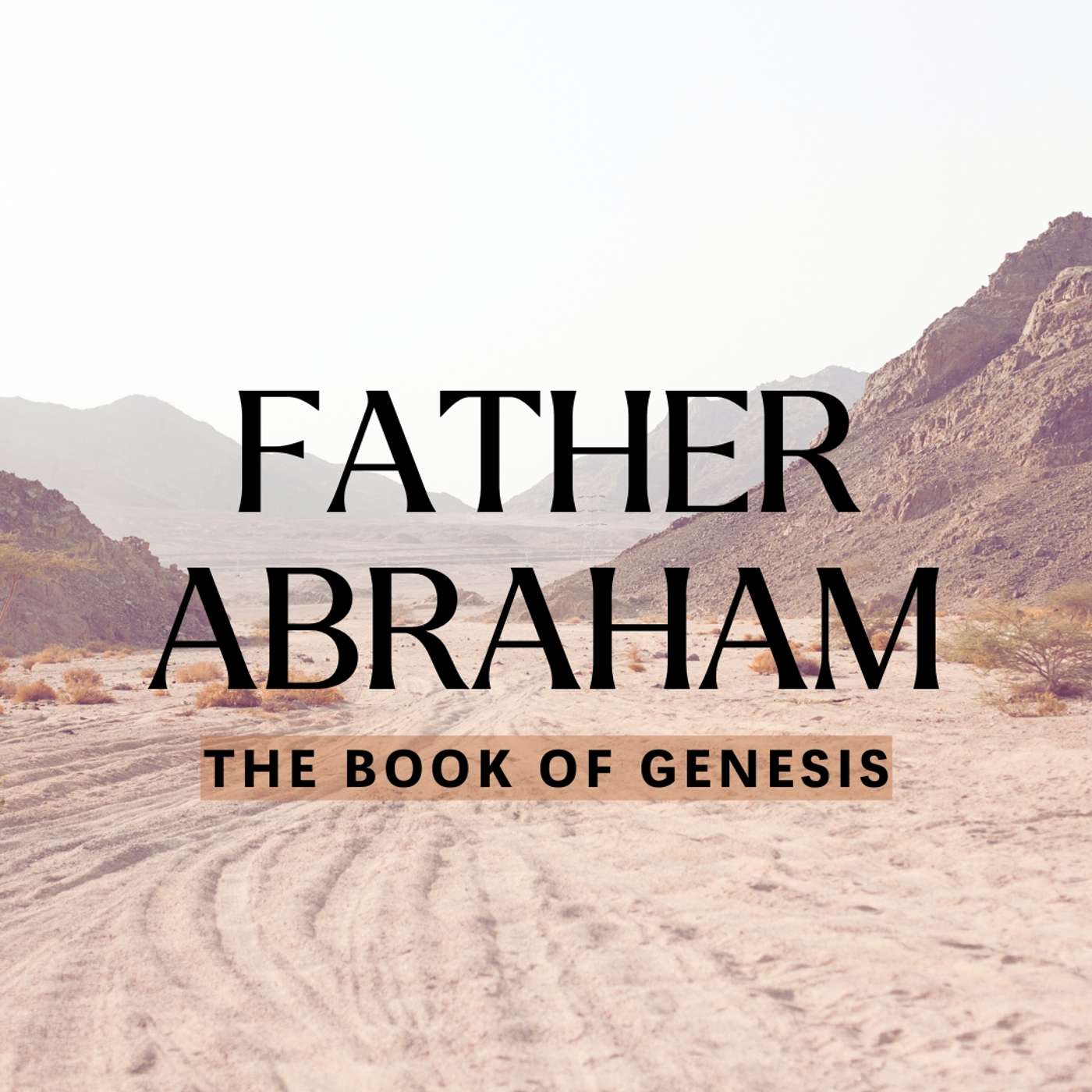Genesis 16 | May 25, 2025