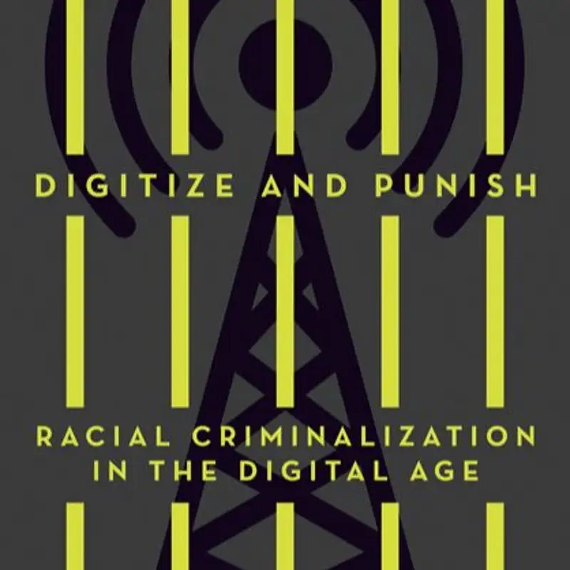 Digitize and Punish: Racial Criminalization in the Digital Age