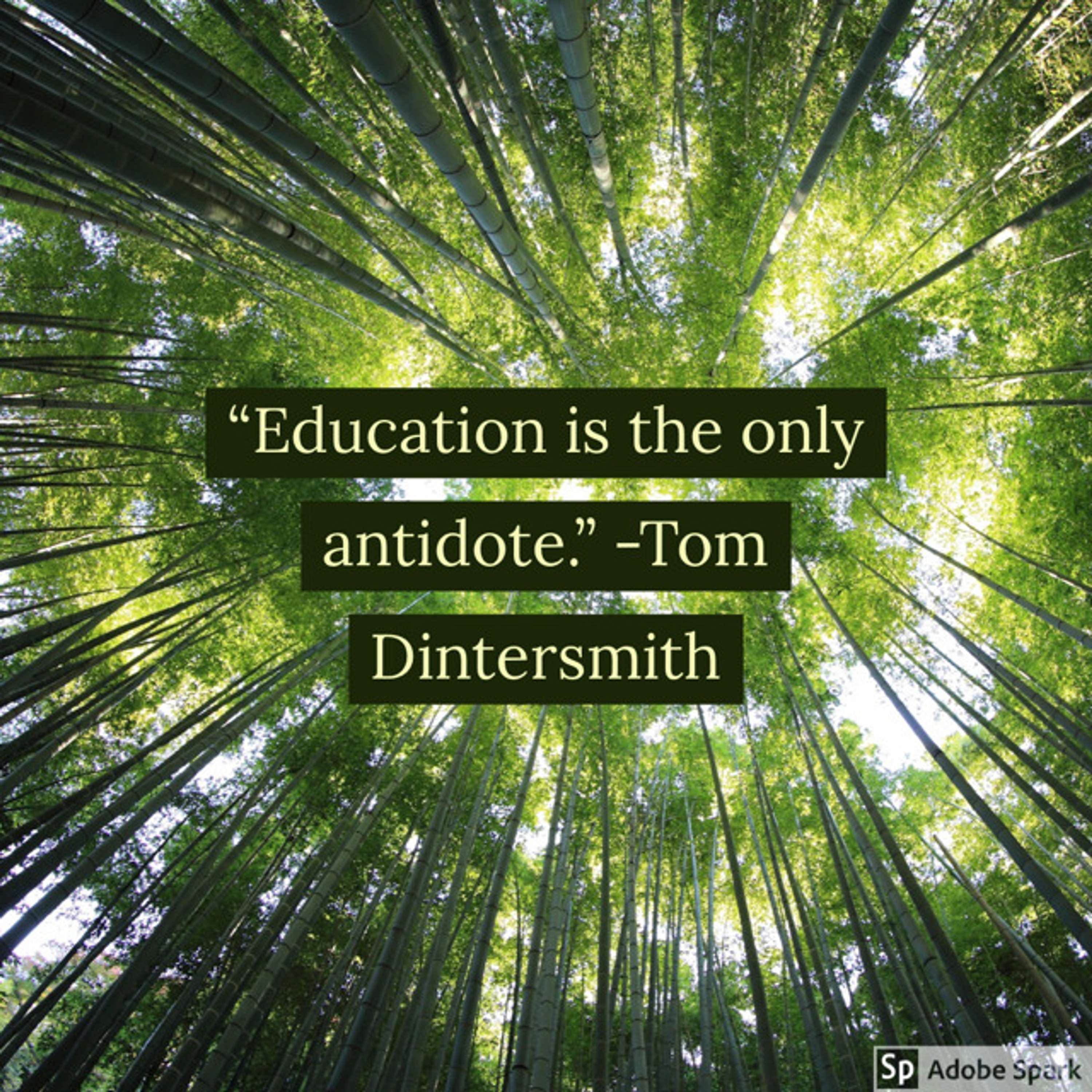 Transformative Principal