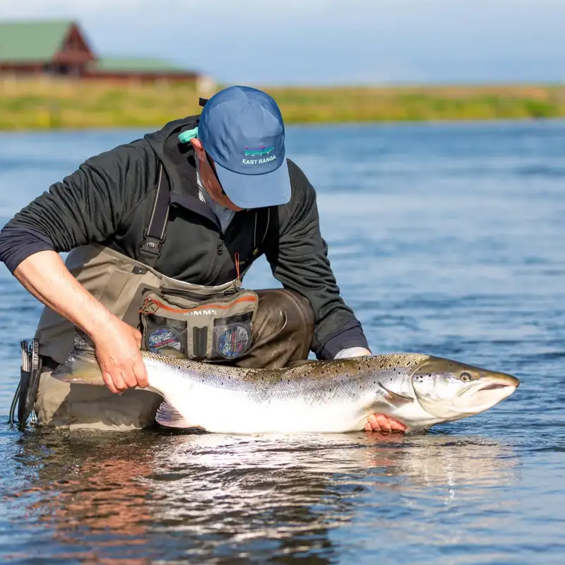 Peter Rippin: the pioneering Englishman in Iceland