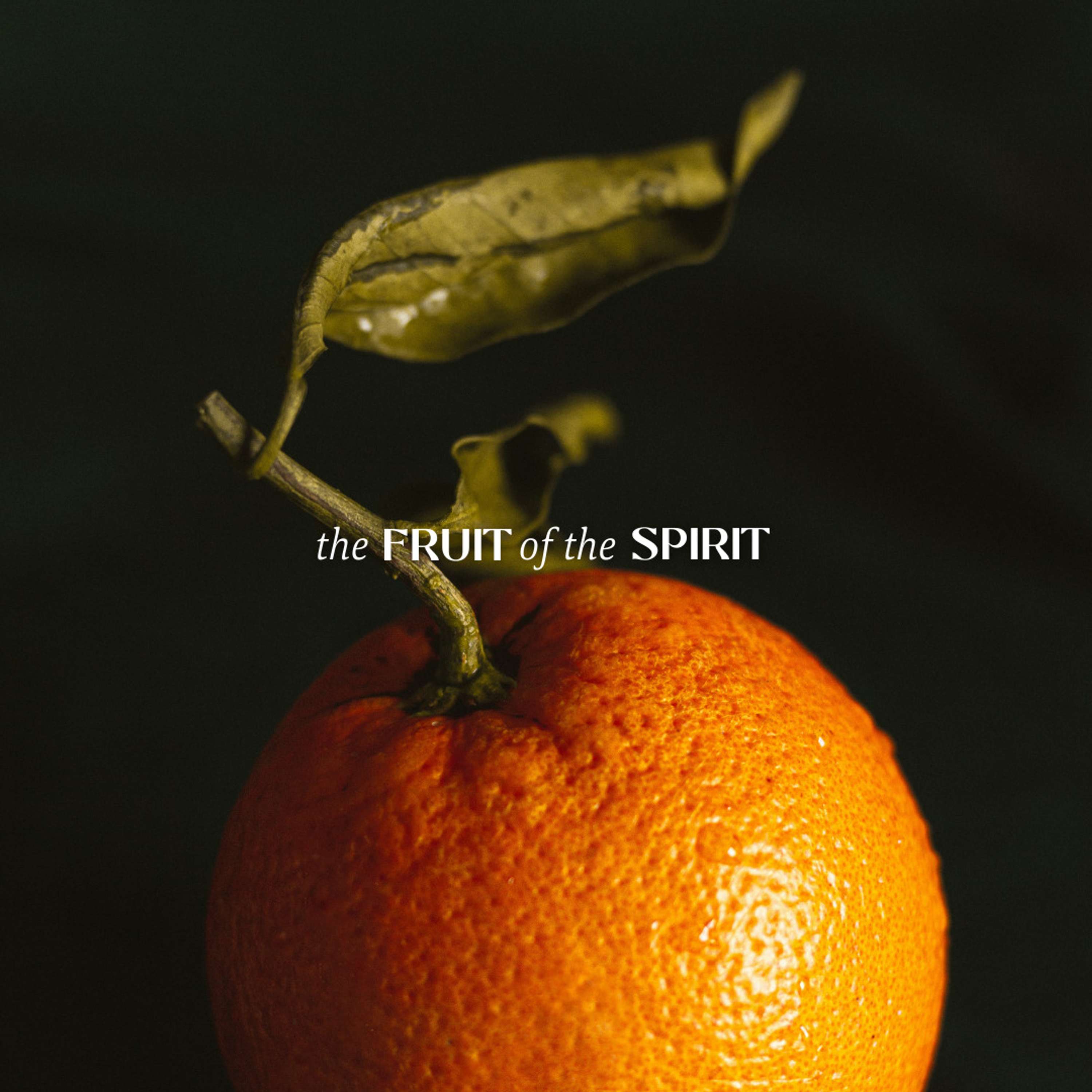 The Fruit of the Spirit Week 2 | 1 John 4:7-11