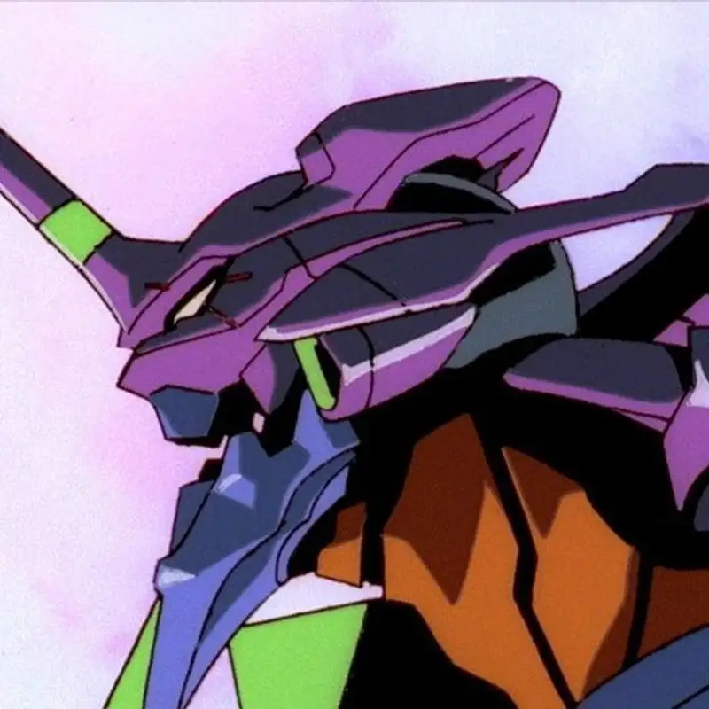 Hors série : Neon Genesis Evangelion, la série