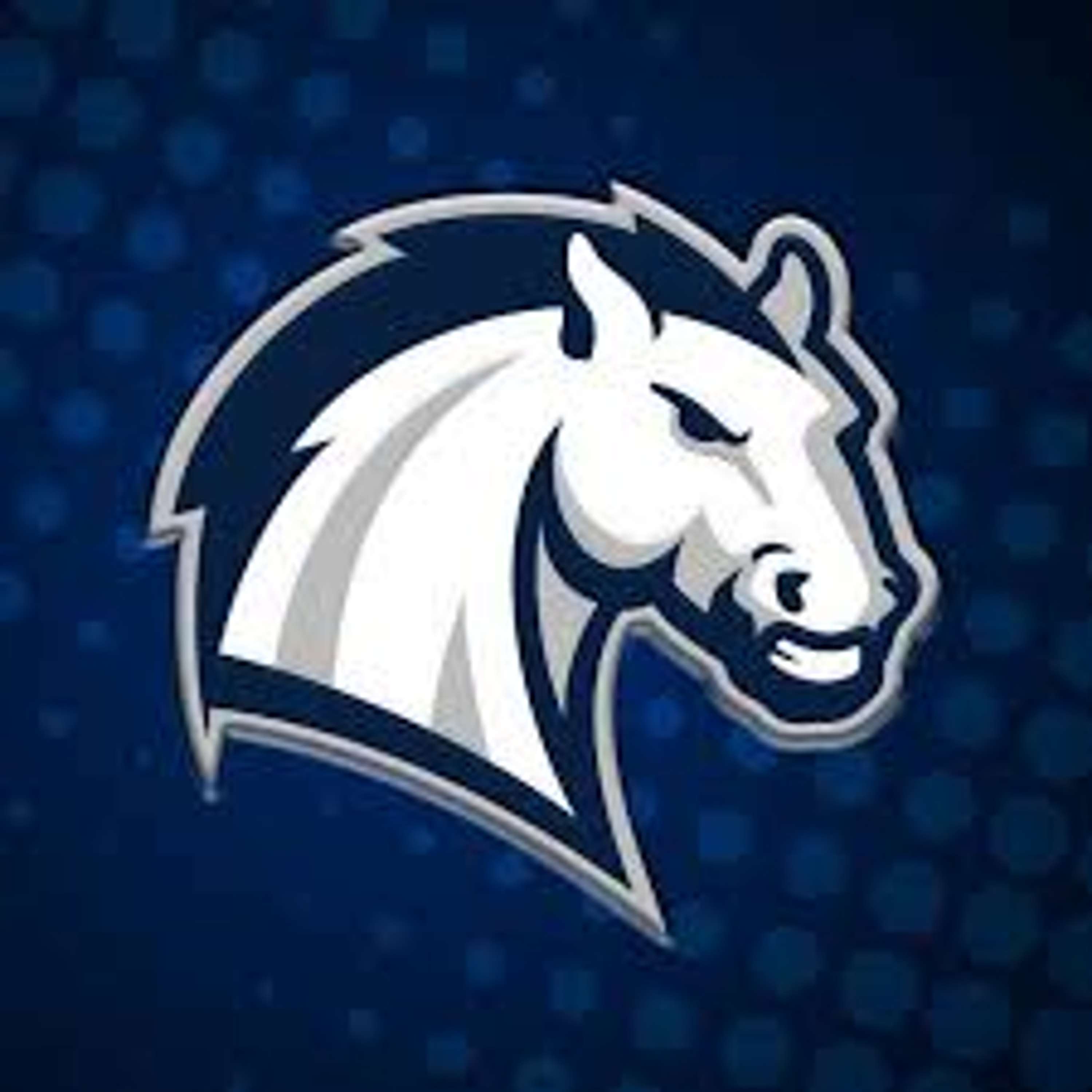 Men's Basketball: Hillsdale vs. Malone, 12/07/24  - podcast episode cover