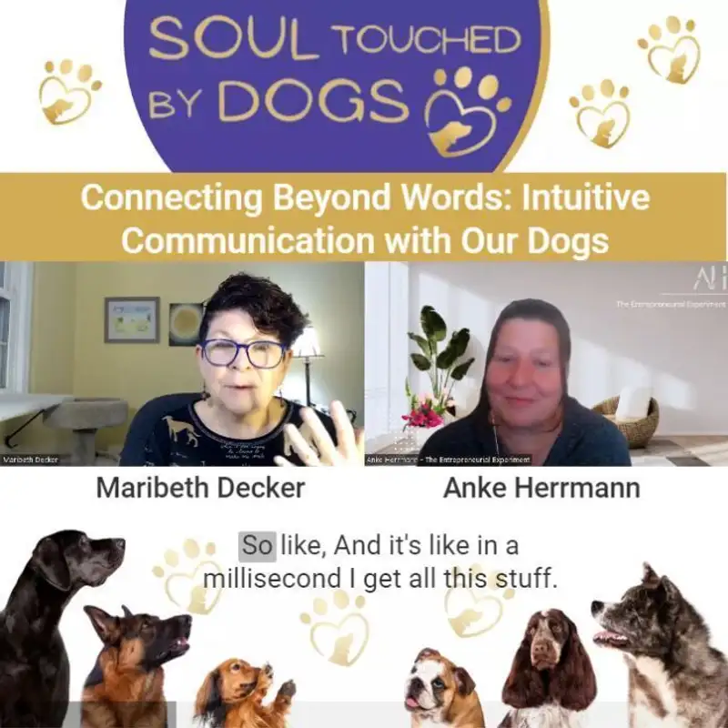 Maribeth Decker - Connecting Beyond Words: Intuitive Communication with Our Dogs