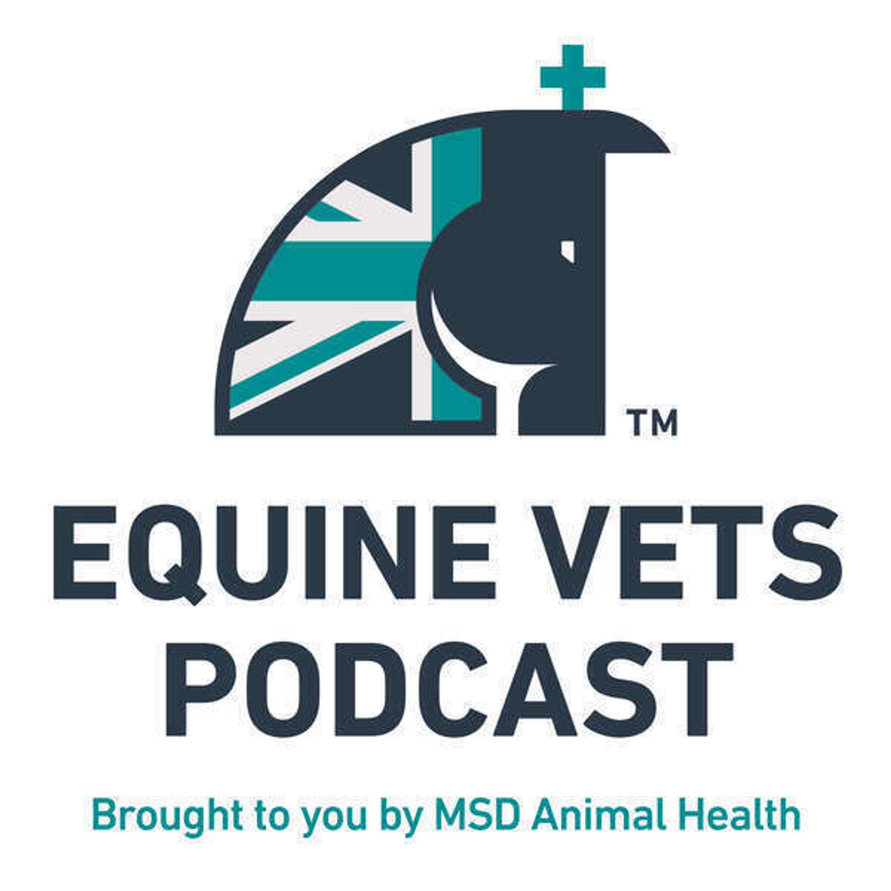 How Can Technology And Data Innovate Equine Welfare?