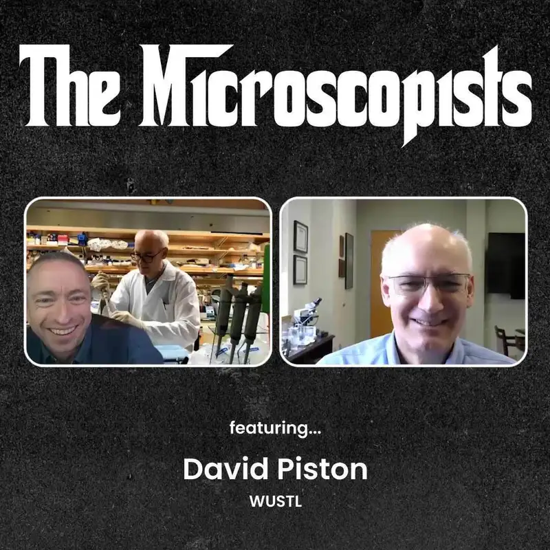 David Piston (WUSTL)