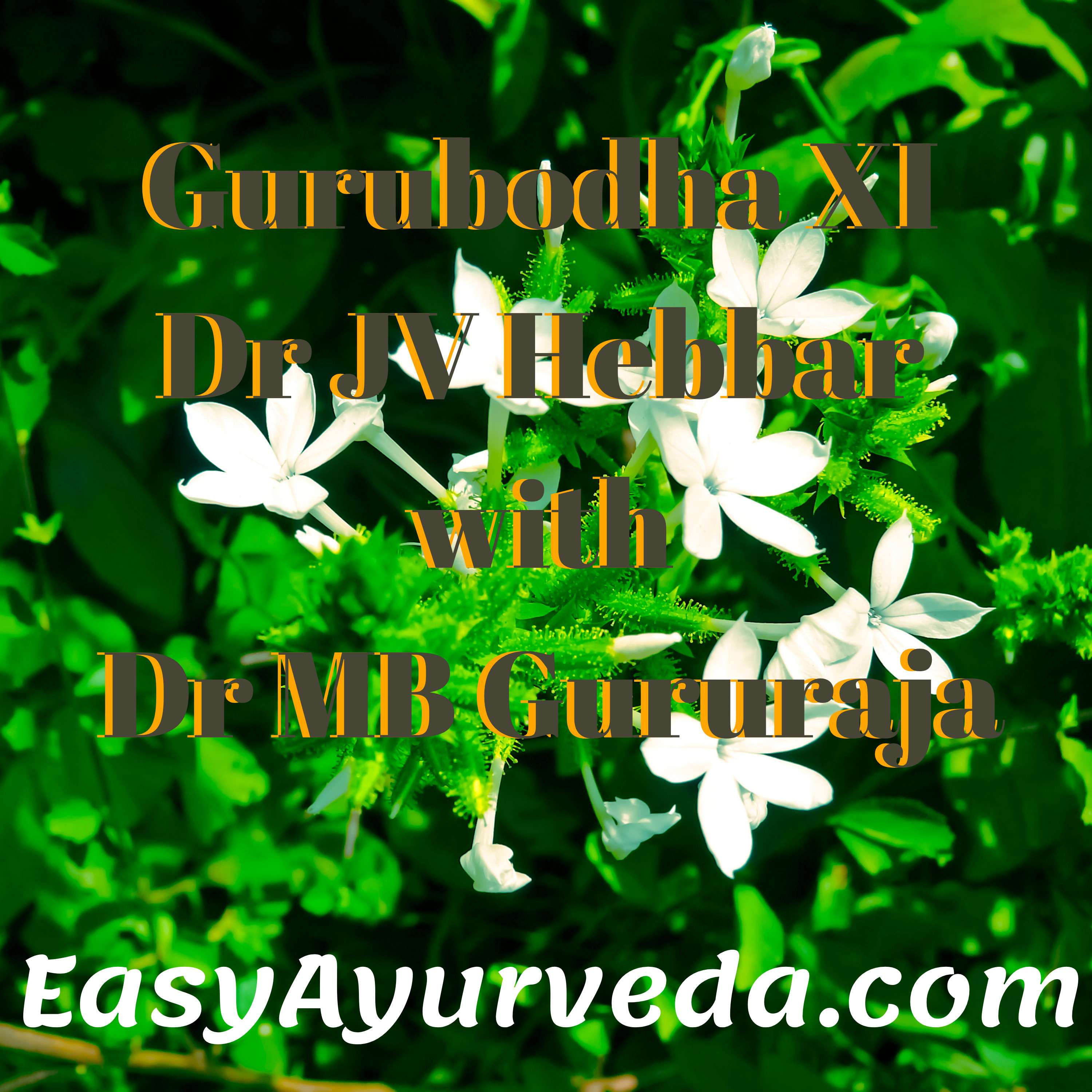 Easy Ayurveda Podcast