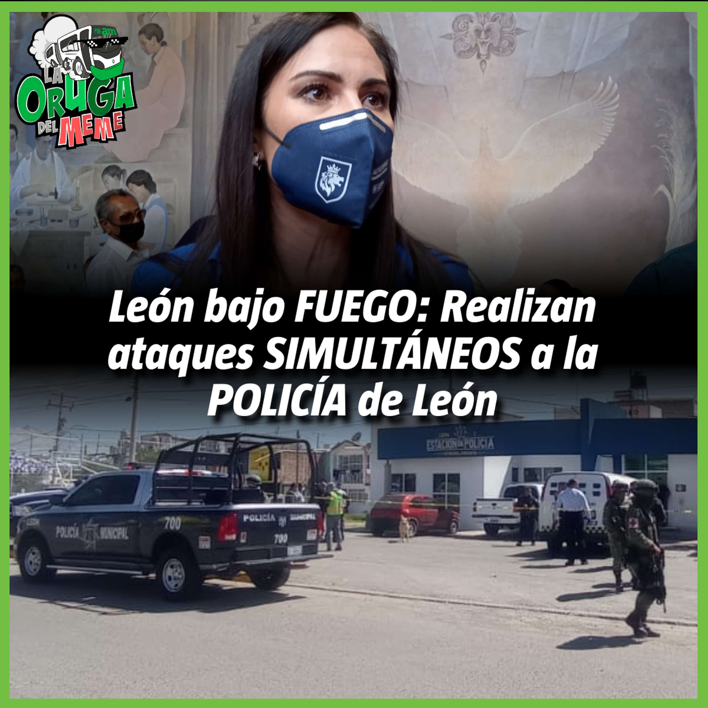 La Oruga del Meme
