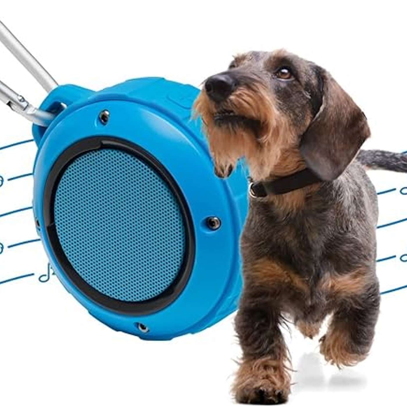 Pet Acoustics: We\'re All Ears!