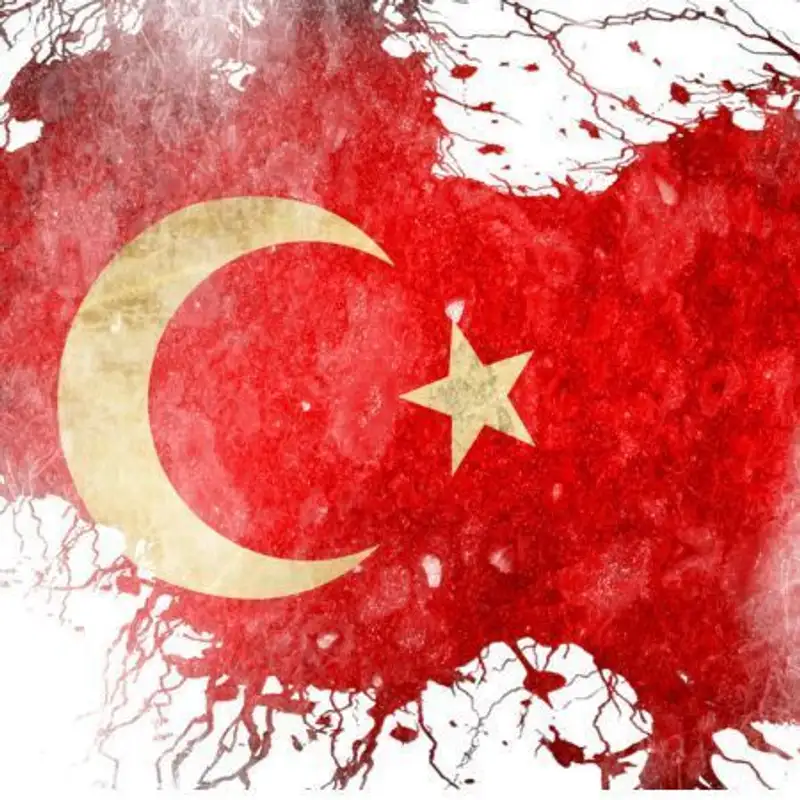 Why Did Turkish Democracy Collapse