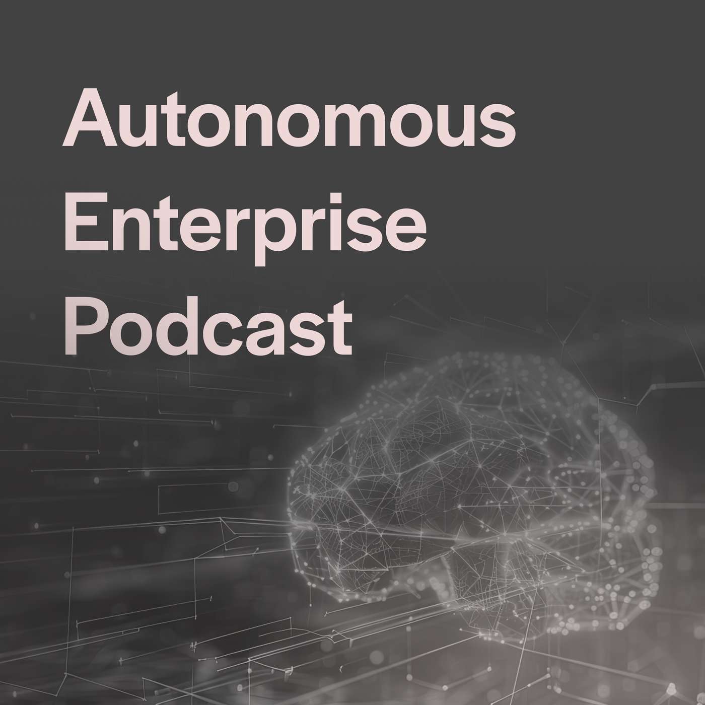 Autonomous Enterprise