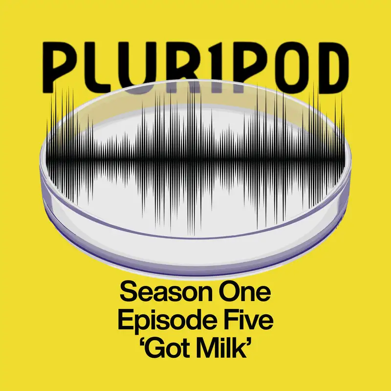 Pluripod S01E05 - 'Got Milk'