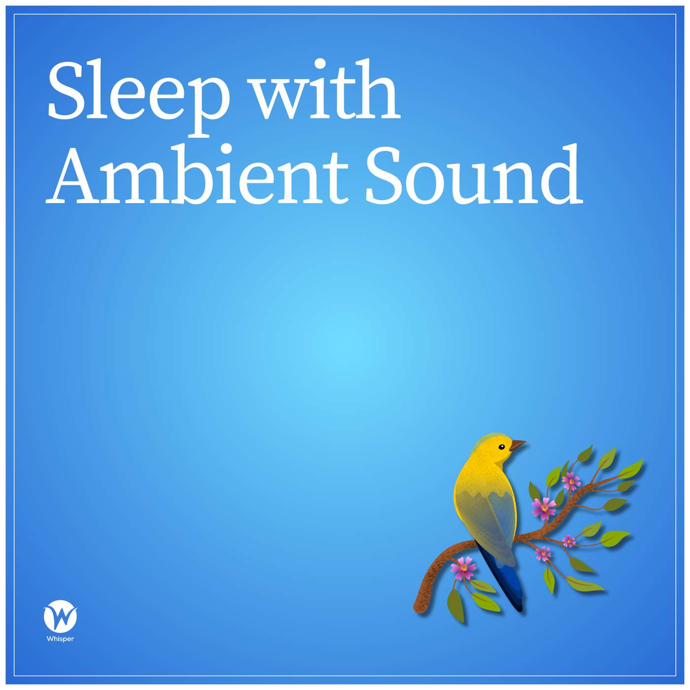 Bonus Episode: Sleep with Ambient Sound