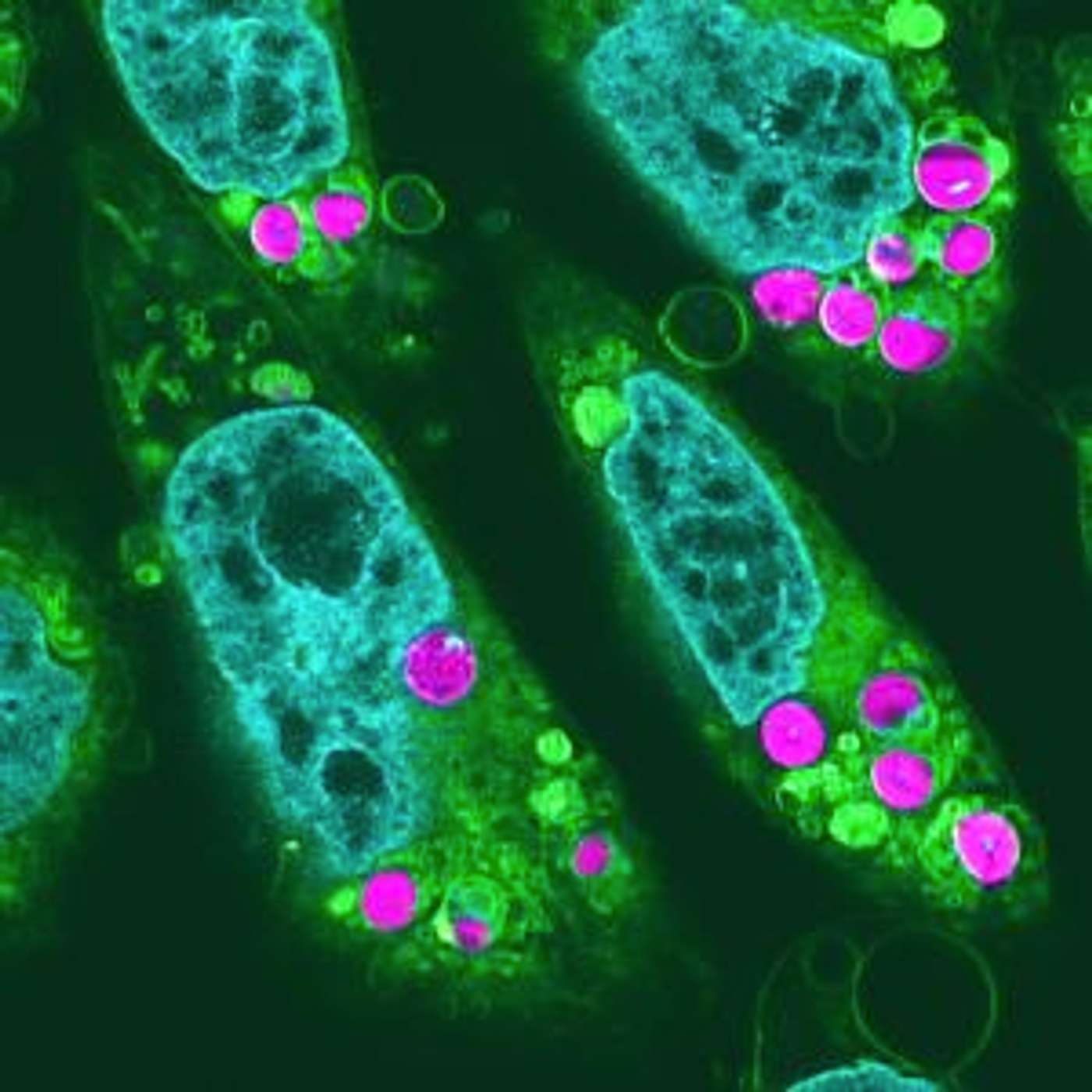 Science News Daily