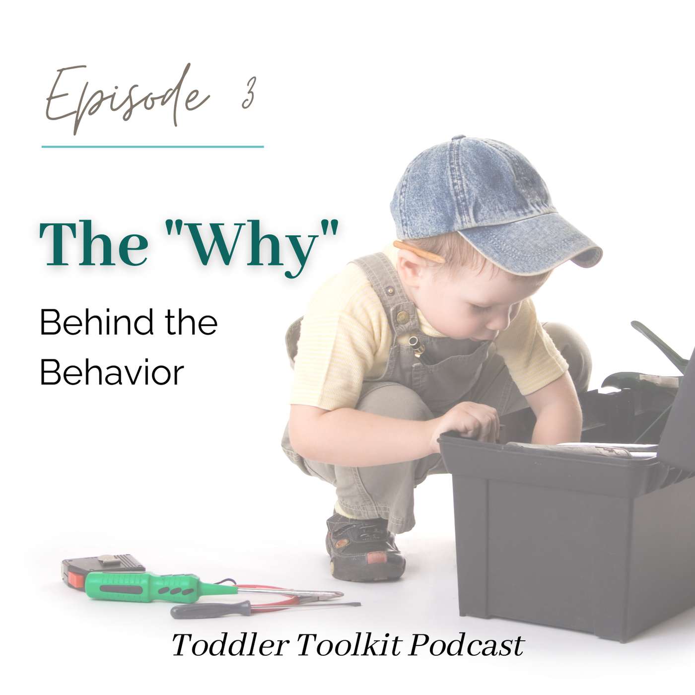 Toddler Toolkit
