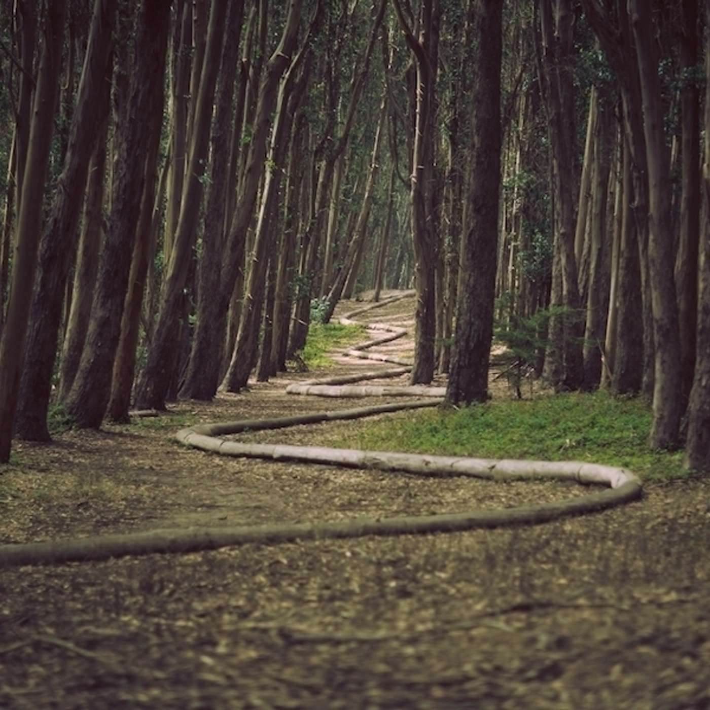 4 Content marketing tips for startups