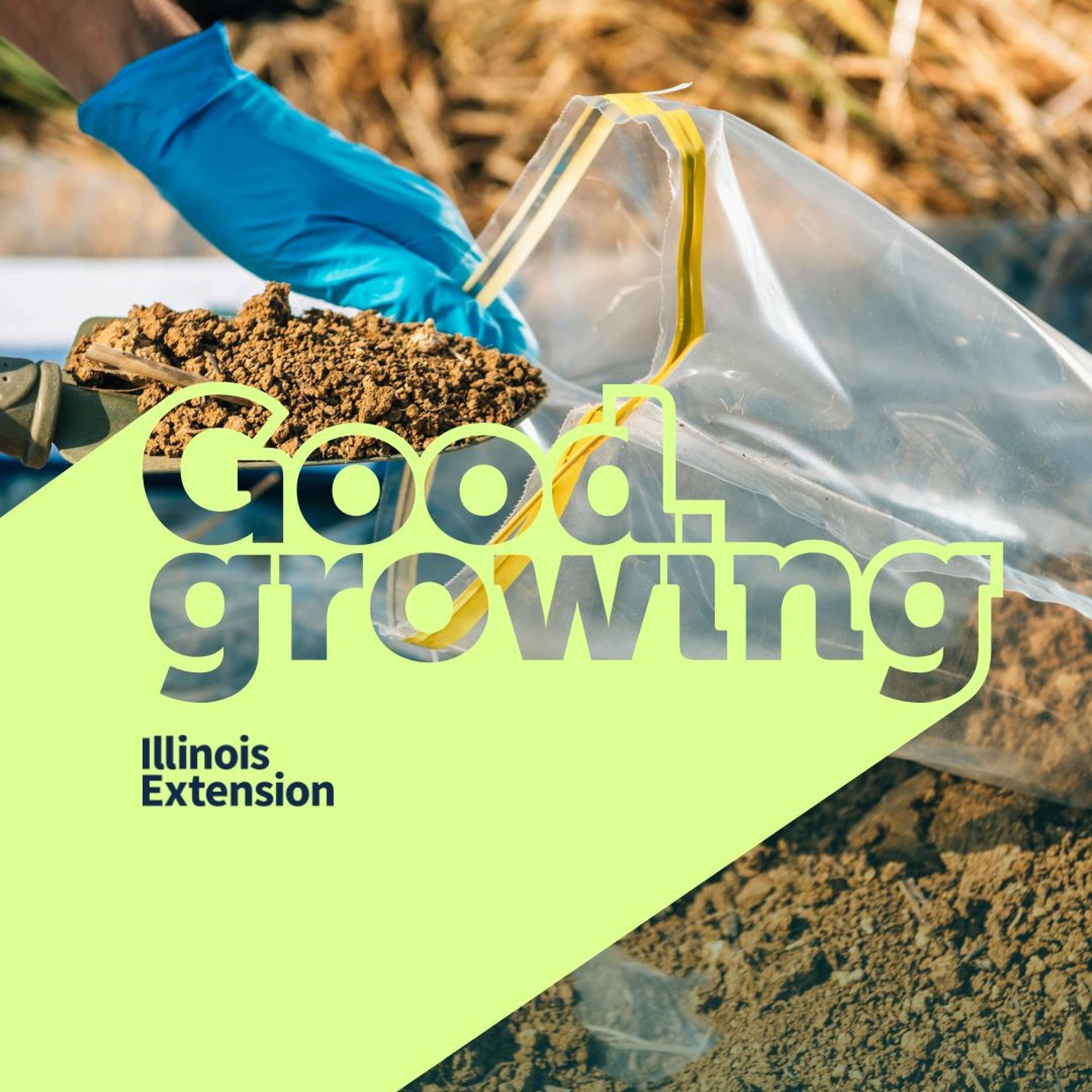 Ep. 136 Garden Q&A: All about soil and compost | #GoodGrowing