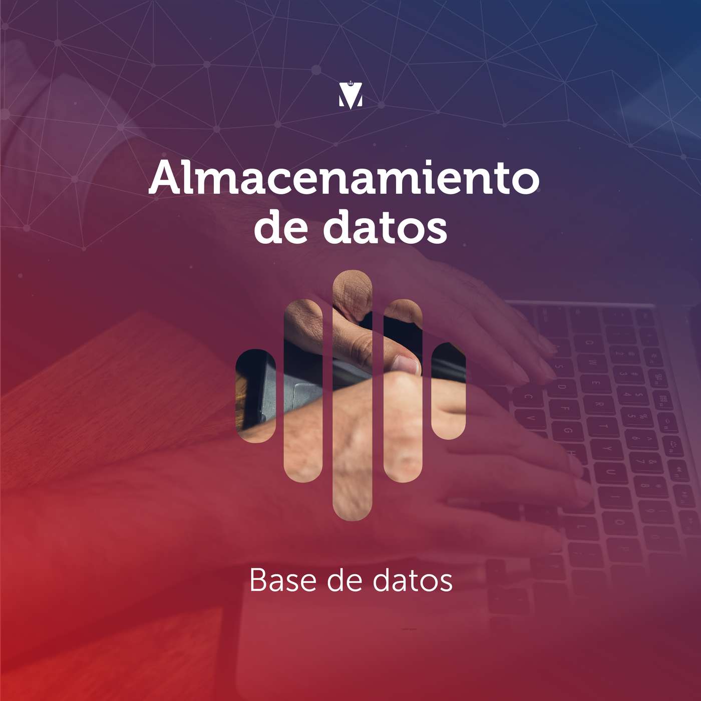 2 - ALMACENAMIENTO DE DATOS - Base de Datos episode artwork