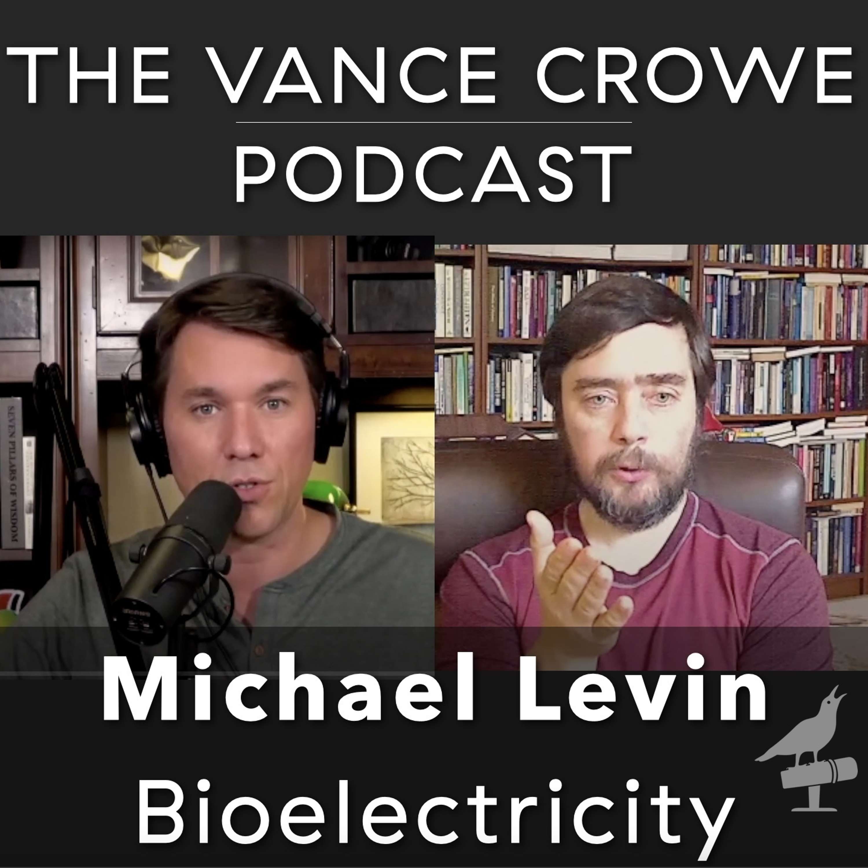 Michael Levin; Bioelectricity and where cognition comes from