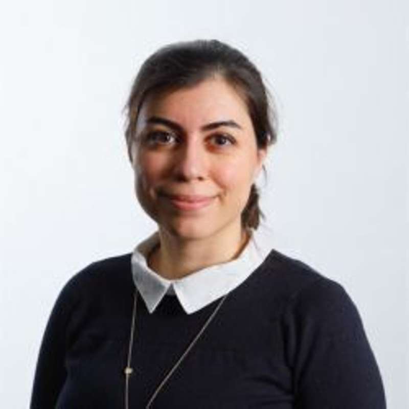 Elnaz Fazeli