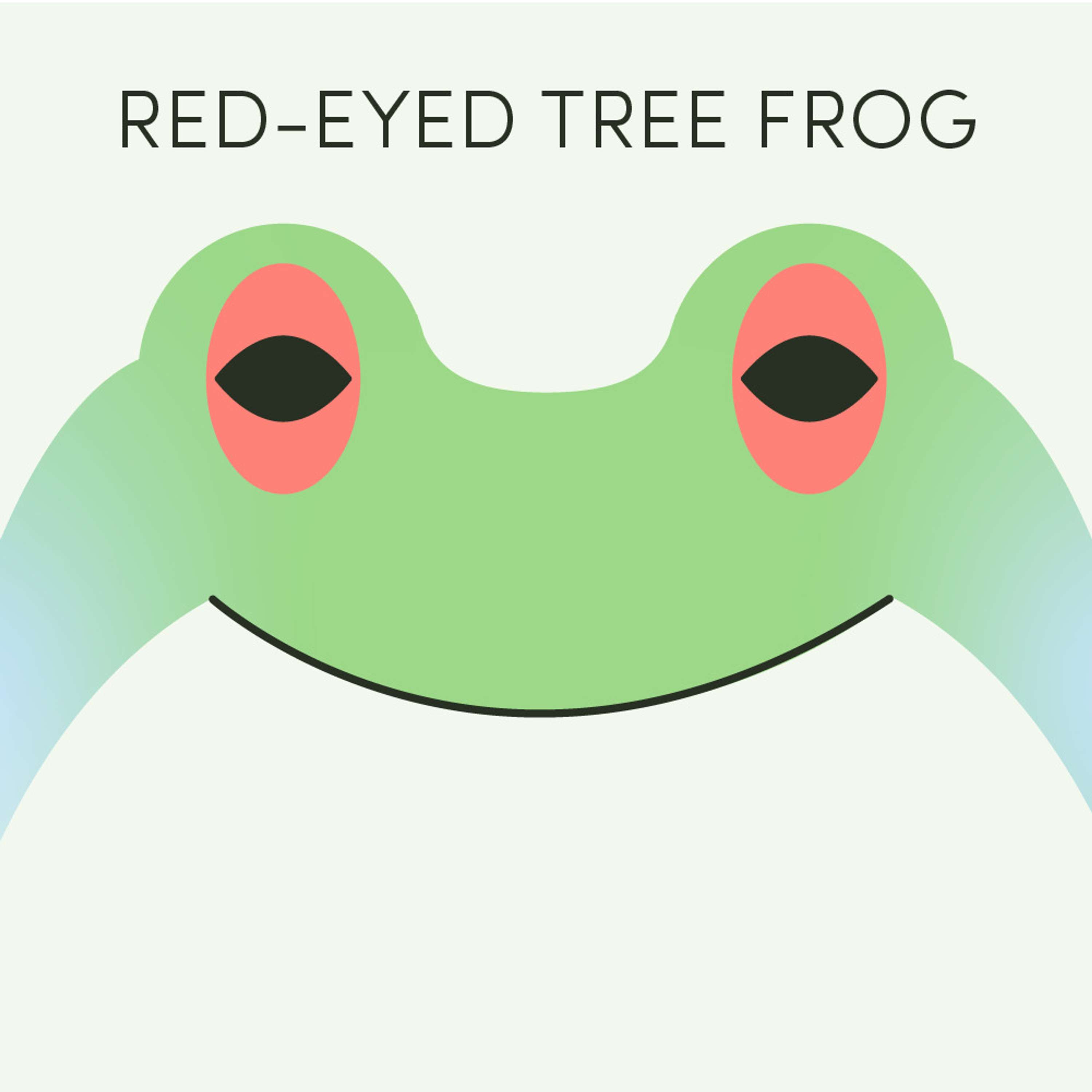 Red-Eyed Tree Frog | Week of April 4th