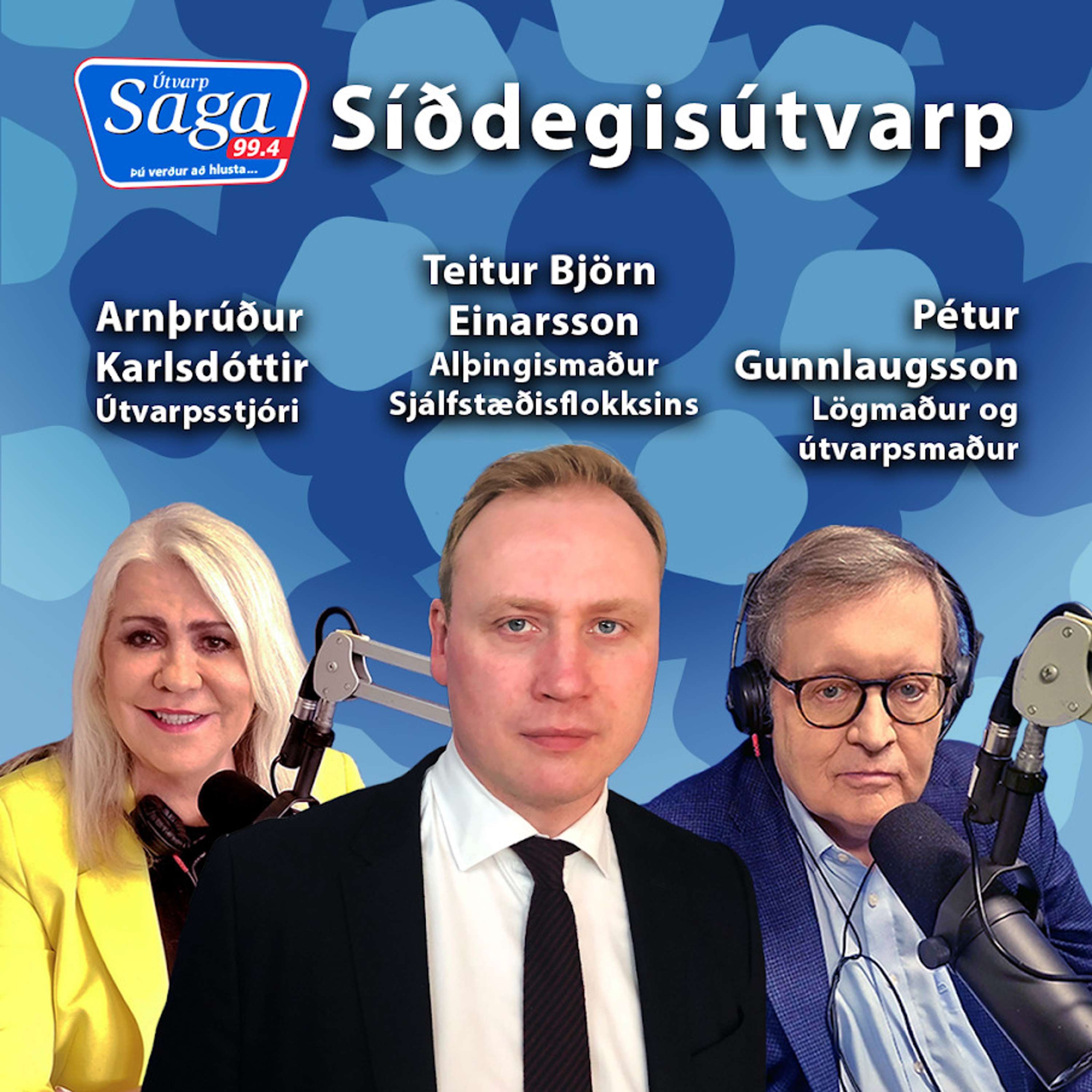 Teitur Björn Einarsson - Þjóðarsjóðurinn og Bókun 35