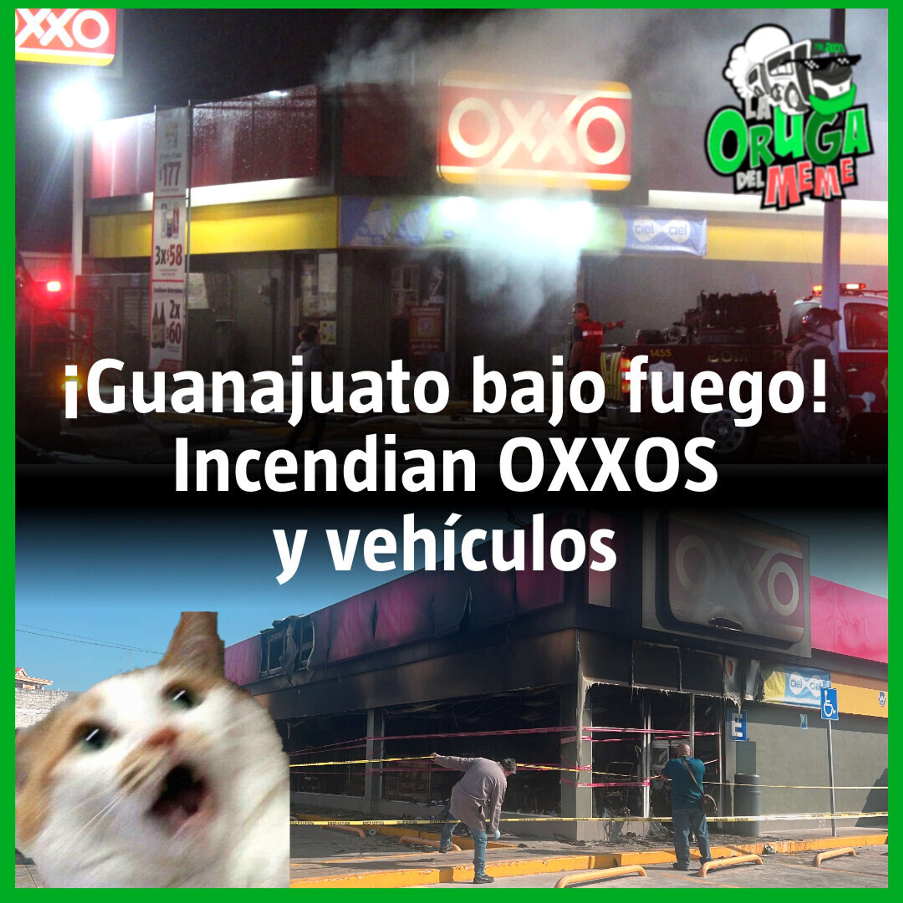 La Oruga del Meme