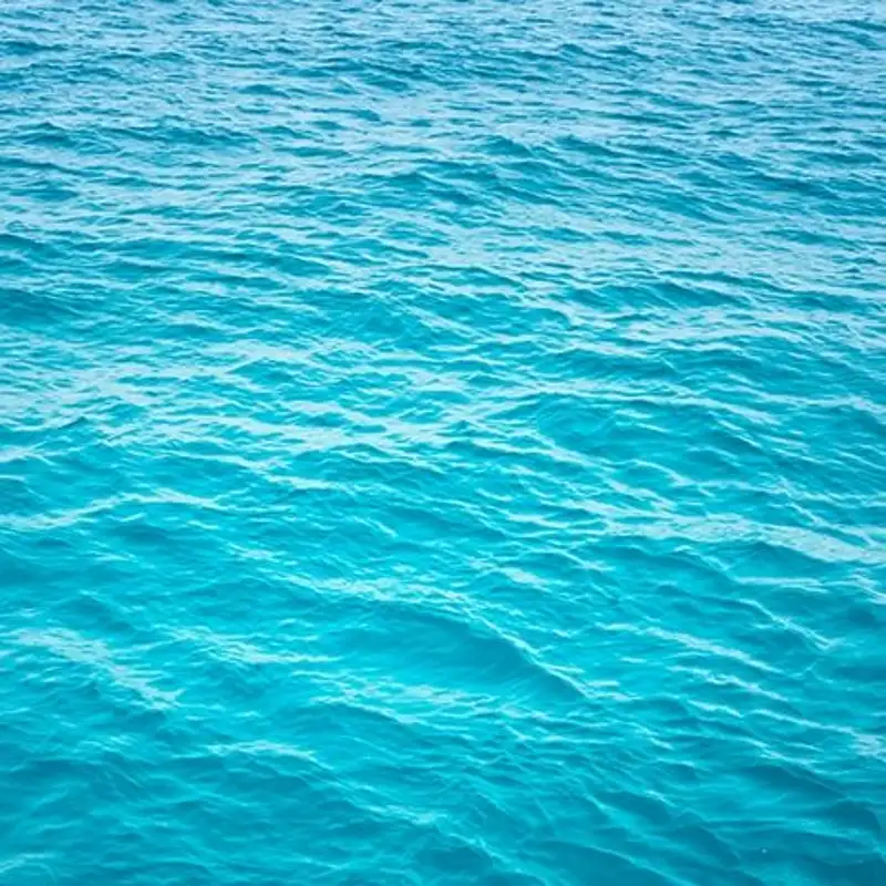 Valda Terauds Water