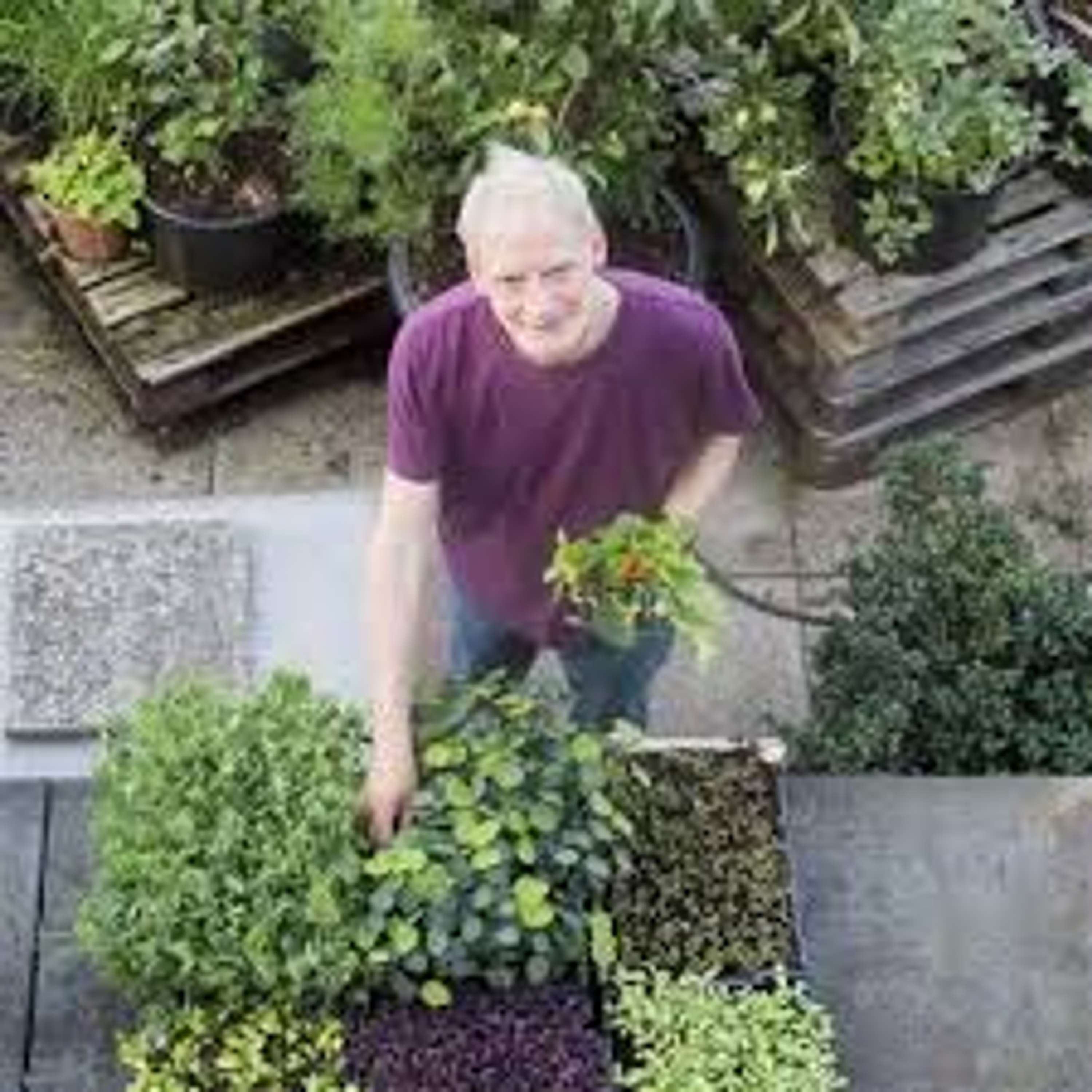 Mark Ridsdill Smith - author "The Vertical Veg" - Guide to container gardening 2023 episode artwork