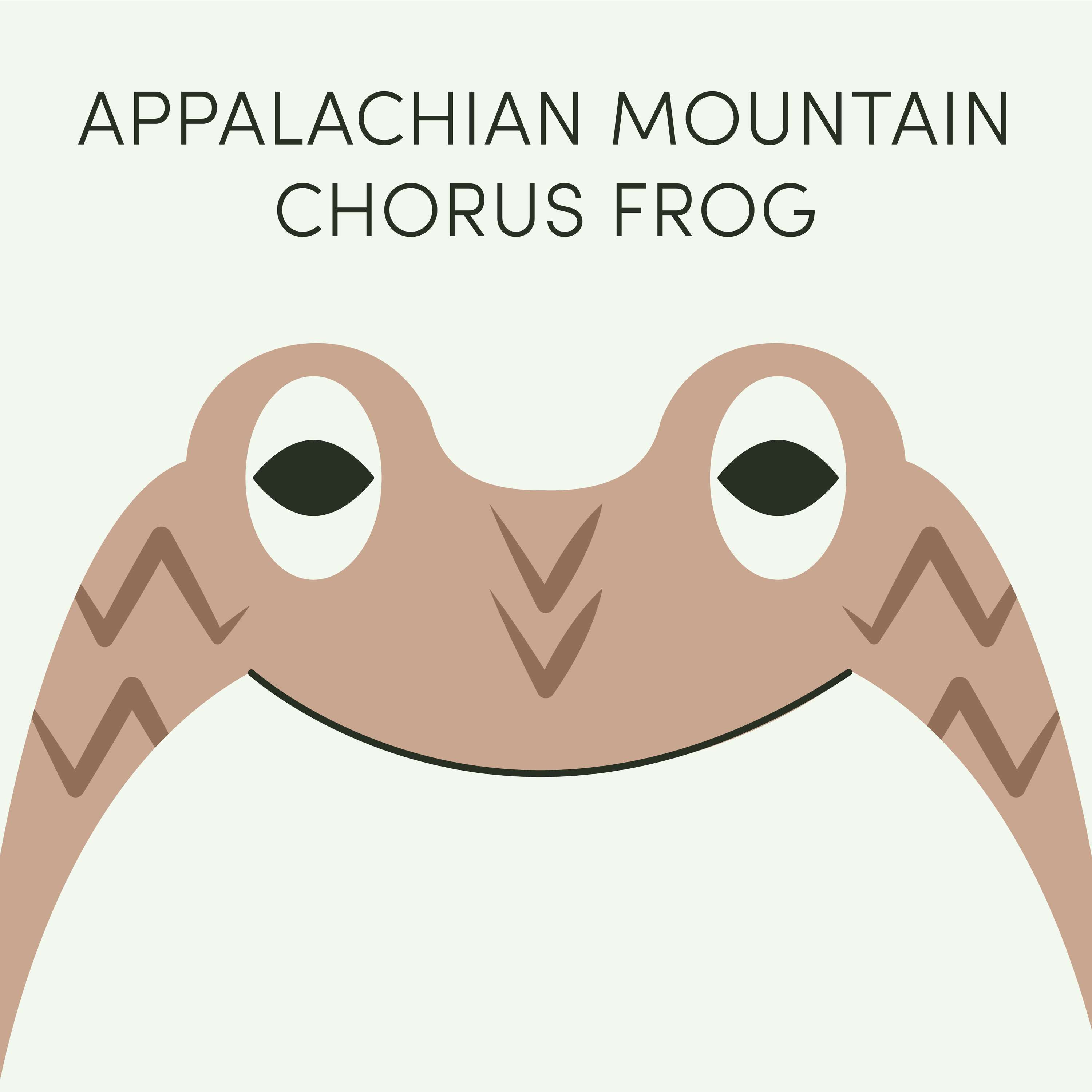 Appalachian Mountain Chorus Frog | Week of July 24th