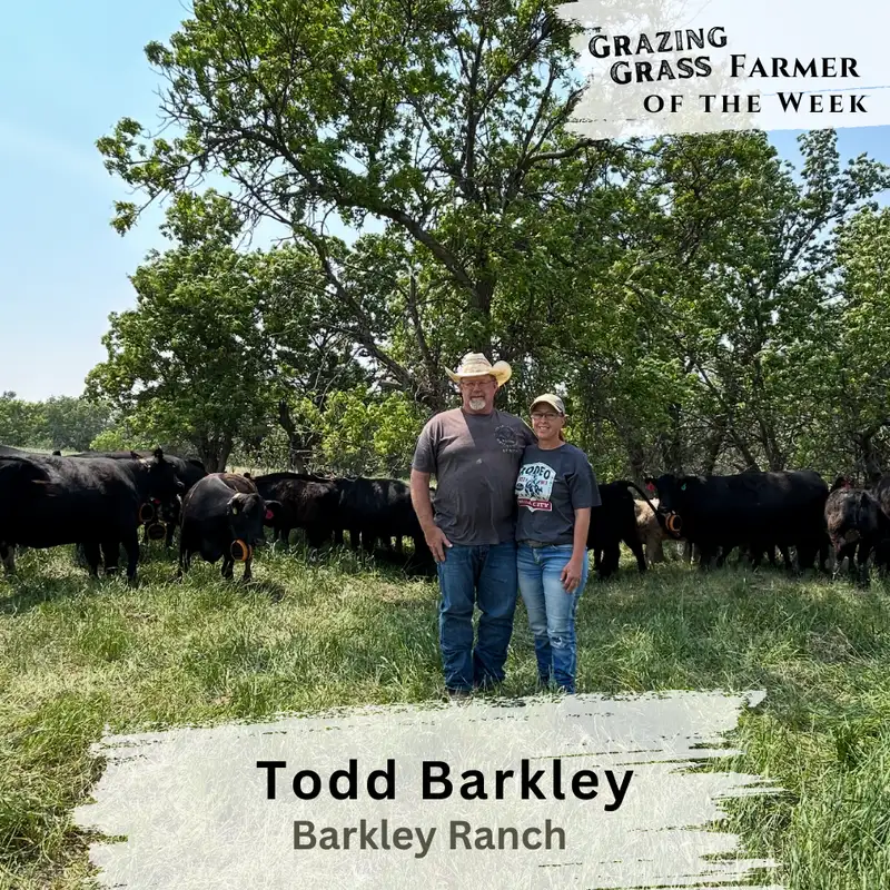 185. Hair, Grass, and Virtual Fences with Todd Barkley