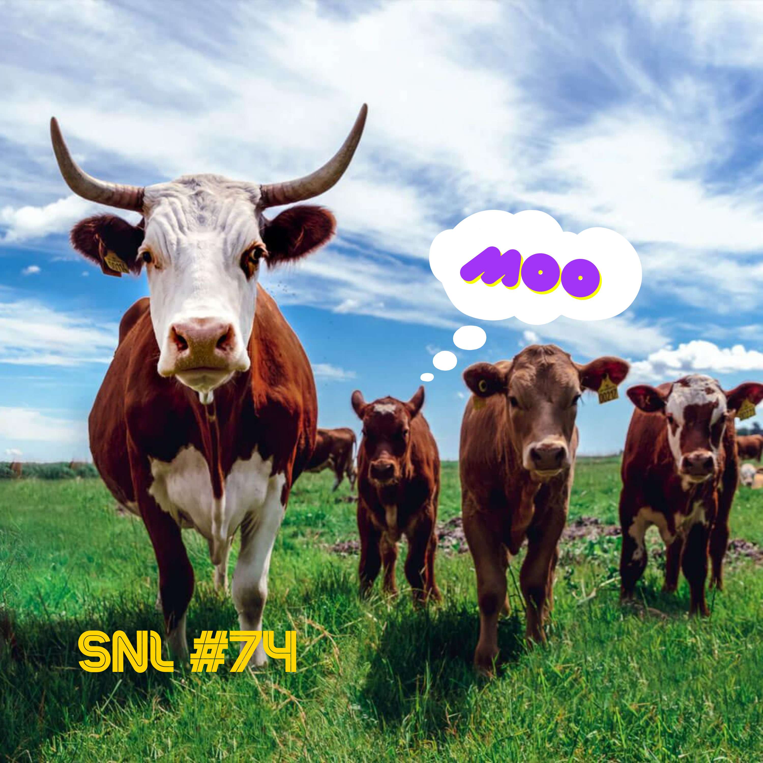 Stacker News Live #74: Moo